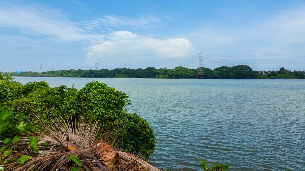 River View Guest House - Kavitha Residency Mangalore Ngoại thất bức ảnh
